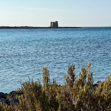 Latina Affittacamere