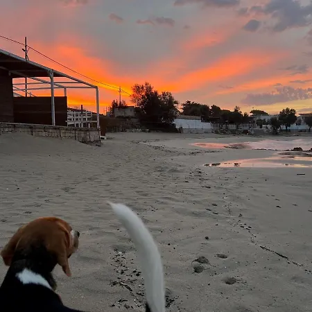 Affittacamere Latina Pulsano