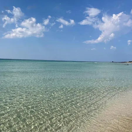 Latina Pulsano