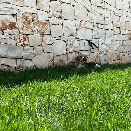 ゲストハウス Latina プルサーノ