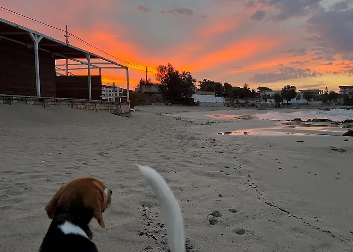 Guest house Latina Pulsano